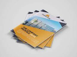 Company Profile Template Pdf Designs Themes Templates And Downloadable Graphic Elements On Dribbble