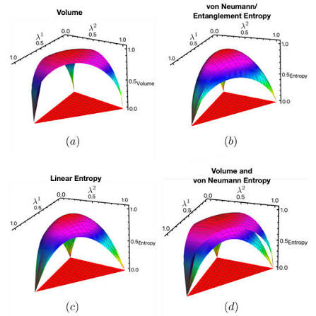 A Differential-Geometric Approach to Quantum Ignorance Consistent with Entropic Properties of Statistical Mechanics