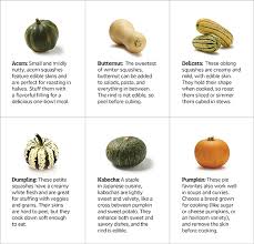 How To Cook Winter Squash Experience Life