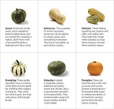 how to cook winter squash experience life