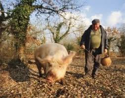 Taxa de timbru in cuantum de buna ziua asi vrea sa va antreb si eu ceva sotia mea este casatorita cu mine de 31 de ani la nunta socri mei miau dat un porc si 100 kg vin si ca dar de. Trufa Diamantul Si Ditiapentanul Vinul Ro