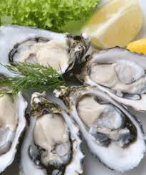 Oysters Seafood Health Facts