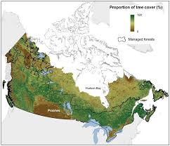 In fact, the state's name means penn's woods. trees are essential to the lives of pennsylvanians our certified arborists are equipped to help make an informed assessment of your situation, whether you're dealing with a healthy ecosystem or a pest infestation. Land Free Full Text Carbon Cycling Climate Regulation And Disturbances In Canadian Forests Scientific Principles For Management Html