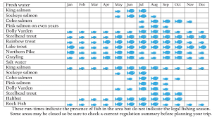 Kenai River Fish Run Times Soldotna Chamber Of Commerce