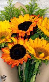 Surprise a special someone with beautiful fresh flowers and give yourself a little treat by making savings thanks to our bunches discount code and cashback deals. Pinterest Pop Up The Bouqs Company Beautiful Flowers Sunflowers And Daisies Sunflower Garden