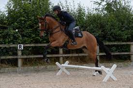 Two cavaletti exercises to spice up your showjumping training - Your Horse