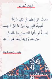 اجمل ابيات الغزل قيلت في الشعر ليزيد بن معاوية Beautiful Arabic Words Arabic Quotes Words Quotes