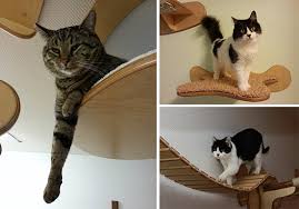 Most cat perches are designed to be installed or attached to window sill areas. Amazing German Designed Cat Climbing Furniture Hauspanther