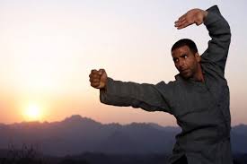 Pin On Celebrity Martial Arts