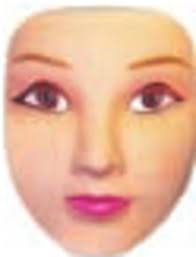 Experiment 1 results: participants' perception of animate attributes....