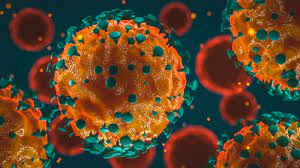 Many different types of coronaviruses exist, some of which are associated with the common cold. What Is A Coronavirus Live Science