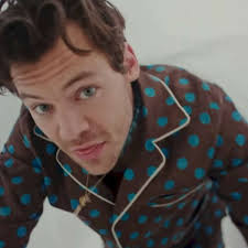 Brasileira é presa por perseguir Harry Styles