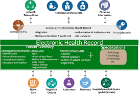 My health record is a safe and secure place where your key healthcare information can be kept. Pdf Proposal For An Ehealth Based Ecosystem Serving National Healthcare Semantic Scholar