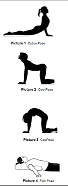 Ardha chandrasana (half moon pose). Yoga Exercises And Menstrual Cramps