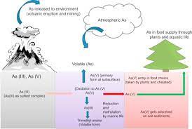 Heavy Metals And Hydrocarbons Adverse Effects And Mechanism Of Toxicity Sciencedirect