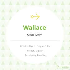 Baby Name Wallace Gaelic Baby Names Names With Meaning Baby Names And Meanings
