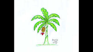 How To Draw A Banana Tree Banana Tree Drawing For Kids Easy And Fast Youtube Match the fruits to the pages of the fruit book you're reading. how to draw a banana tree banana tree drawing for kids easy and fast