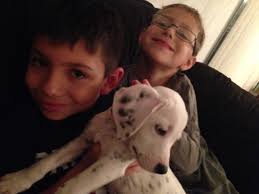 Teach Mentor Texts: March 2017