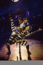 Pin On Jellicle Cats