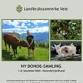 Ny Bonde-Samling Vestland event image