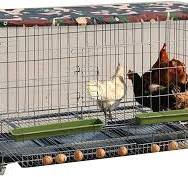 Amazon.com: Gallinero grande para exteriores, gallinero de ...