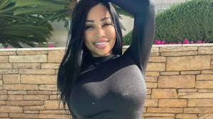 Brittanya Razavi Biography | Wiki | Plus Size Fashion Model | Height | Age  | Boyfriend | Net Worth