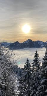 Clinique Vétérinaire d'Abondance