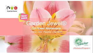 Create a riot of colour in your garden with flower bulbs. Ednie Flower Bulbs Posts Facebook
