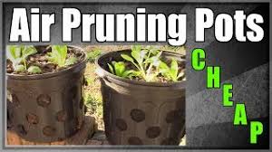 Today i share my diy air pruning smart pots on a budget with milk crates, file crates, and dollar store containers. Cheap Air Pruning Pots Youtube