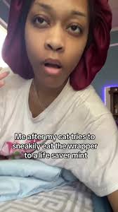 Cat Ate Plastic Straw Wrapper