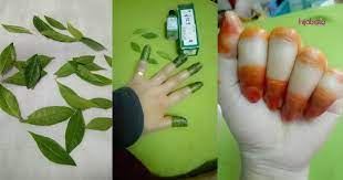 Manfaat daun inai untuk kesehatan bisa dapatkan dengan cara membuatnya sebagai minuman herbal. Inai Merah Cantik Di Jari Caranya Hanya Guna Daun Inai Sapu Dengan Minyak Angin Hijabista