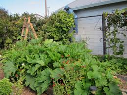 Http Blog Anniesannuals Com Category Edibles Summer Vegetables Garden Vegetable Garden Design Vegetable Garden Tips