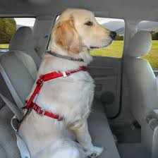 Enhanced Strength Tru Fit Dog Car Harness Dog Car Harness Car Harness Dog Car
