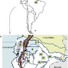 Detrás viene colombia con cuatro puntos, seguida de venezuela con una unidad, mientras que perú y ecuador por su lado buscará volver al nivel que había mostrado en 2020, cuando ganó tres. A Acessions From Central And South America Excepted Ecuador And Peru Download Scientific Diagram