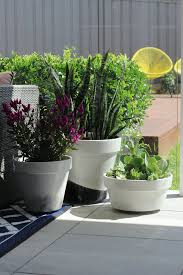 Update your old terracotta pots with a lick of paint. Diy Painting Terracotta Garden Pots With White Knight Paints