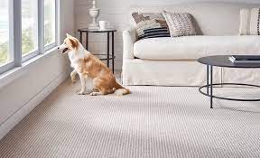 Check spelling or type a new query. Factory Paint Decorating Benjamin Moore Paint In Stock Wallcovering Hunter Douglas Window Treatments Floorcovering Home