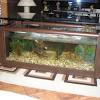 Check out our fish tank coffee table selection for the very best in unique or custom, handmade pieces from our coffee & end tables shops. Https Encrypted Tbn0 Gstatic Com Images Q Tbn And9gcs0dyuucp5pjnauu28k4qj6wk3codxv7yq0yogfn4lgihshpnwn Usqp Cau