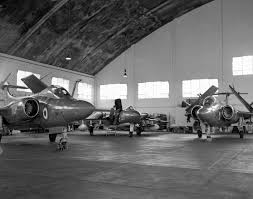 Image result for Gray 1971 Fleet