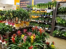 Garden centres closed their doors as the uk lockdown began but many are now facing calls to reopen as brits up and down the country look for new ways to spend their extra hours at home. Garden Center At The Home Depot New York City 1 212 888 1512