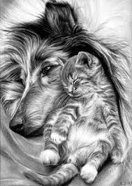 Some of the early lines will be erased before your cat drawing is complete. 40 Realistic Animal Pencil Drawings Pencil Drawings Of Animals Animal Drawings Realistic Drawings