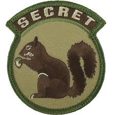 Mar 16, 2021 · the first secret exit in new super mario bros. Secret Squirrel Multicam Ocp Patch Usamm