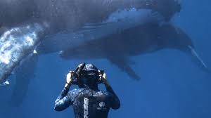 Nataliapariish filtracion La mexicana habló sobre lo