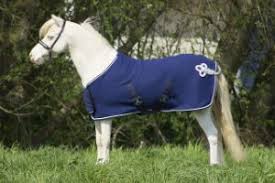 Pdr, pvs, dr, vs ♡ herzlich willkommen im ponyliebe shop ♡ Mhs Reitsport Decke Pony Decke Shetty Decken Pony