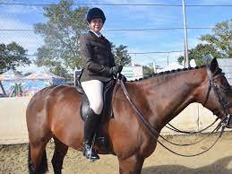 , announcements, events & activities, media releases Hacking Riders From Around Cq Show Off Their Medals At The Rockhampton Show The Courier Mail