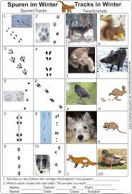 We did not find results for: Zuordnen Tierspuren Zum Ausdrucken Kostenlos Memory Spiel Tiere Im Wald Und Garten Arbeitsblatt
