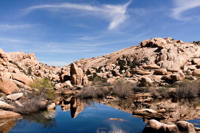 Barker Dam Loop Trail : une oasis inattendue au cœur de Joshua Tree. 