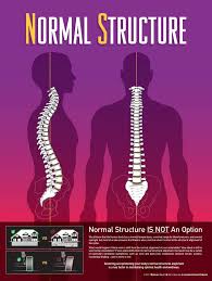 Spine pain, man with backache and ache in the neck, black and white photo with red backbone. Tips To Keep Your Back In Shape Core Chiropractic