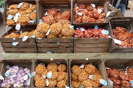 L'oignon ou ognon (allium cepa), prononcé /ɔ.ɲɔ̃/, est une espèce de plantes herbacées bisannuelles de la famille des amaryllidaceae. Pourquoi Les Feuilles Des Oignons Sont Elles Deformees