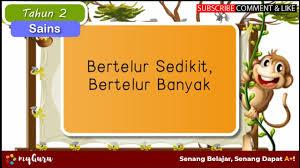 Layari dan langgan modul pembelajaran l. Tahun 2 Sains Bertelur Sedikit Bertelur Banyak Youtube