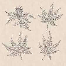 Download free books in pdf format. Free Cannabis Plant Vectors 1 000 Images In Ai Eps Format